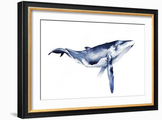 Whale Portrait I-Grace Popp-Framed Art Print