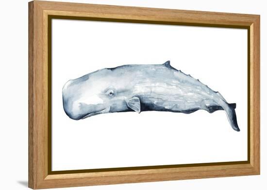 Whale Portrait II-Grace Popp-Framed Stretched Canvas