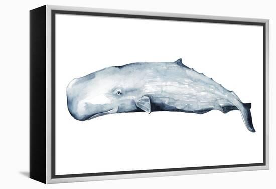 Whale Portrait II-Grace Popp-Framed Stretched Canvas