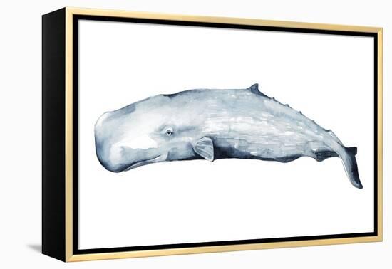 Whale Portrait II-Grace Popp-Framed Stretched Canvas