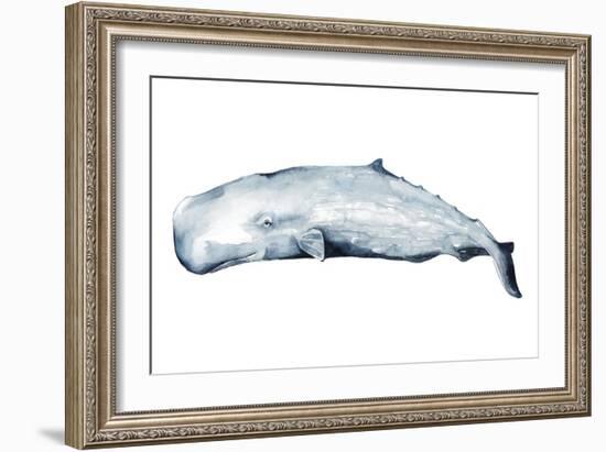 Whale Portrait II-Grace Popp-Framed Art Print