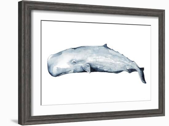 Whale Portrait II-Grace Popp-Framed Art Print