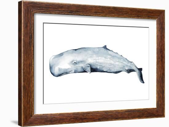 Whale Portrait II-Grace Popp-Framed Art Print