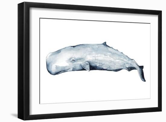 Whale Portrait II-Grace Popp-Framed Art Print