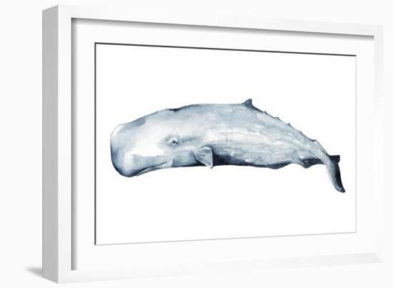Whale Portrait II-Grace Popp-Framed Art Print
