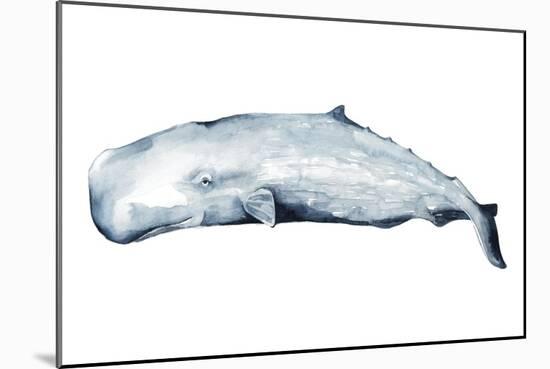 Whale Portrait II-Grace Popp-Mounted Art Print