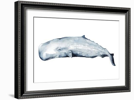 Whale Portrait II-Grace Popp-Framed Art Print