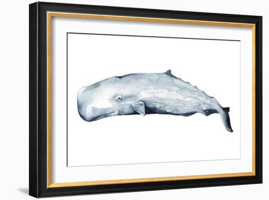 Whale Portrait II-Grace Popp-Framed Art Print