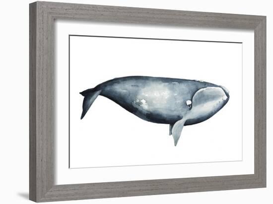 Whale Portrait III-Grace Popp-Framed Art Print