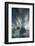 Whale's Tail, Antartica-Art Wolfe-Framed Photographic Print