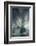 Whale's Tail, Antartica-Art Wolfe-Framed Photographic Print