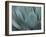 Whale's Tongue Agave-Karen Ussery-Framed Giclee Print