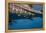 Whale Shark and Golden Trevally, Cenderawasih Bay, West Papua, Indonesia-Pete Oxford-Framed Premier Image Canvas