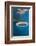 Whale Shark Filter Feeding-Reinhard Dirscherl-Framed Photographic Print