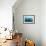 Whale shark Galapagos Islands, Darwin Island and Arch-Michele Westmorland-Framed Photographic Print displayed on a wall