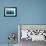 Whale shark Galapagos Islands, Darwin Island and Arch-Michele Westmorland-Framed Photographic Print displayed on a wall