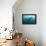 Whale shark Galapagos Islands, Darwin Island and Arch-Michele Westmorland-Framed Premier Image Canvas displayed on a wall