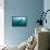 Whale shark Galapagos Islands, Darwin Island and Arch-Michele Westmorland-Framed Premier Image Canvas displayed on a wall
