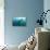 Whale shark Galapagos Islands, Darwin Island and Arch-Michele Westmorland-Framed Premier Image Canvas displayed on a wall