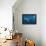 Whale shark, Madagascar, Indian Ocean, Africa-Dan Burton-Framed Premier Image Canvas displayed on a wall