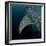 Whale shark pectoral fin and skin markings detail, Indonesia-Magnus Lundgren-Framed Photographic Print