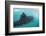 Whale Shark (Rhincodon Typus), Underwater with Snorkelers Off El Mogote, Near La Paz-Michael Nolan-Framed Photographic Print