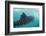 Whale Shark (Rhincodon Typus), Underwater with Snorkelers Off El Mogote, Near La Paz-Michael Nolan-Framed Photographic Print