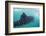 Whale Shark (Rhincodon Typus), Underwater with Snorkelers Off El Mogote, Near La Paz-Michael Nolan-Framed Photographic Print