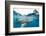 Whale shark, Sakatia Island, Madagascar, Indian Ocean, Africa-Dan Burton-Framed Photographic Print