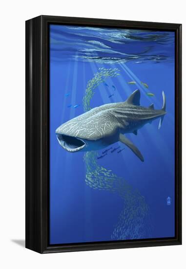 Whale Shark-Lantern Press-Framed Stretched Canvas