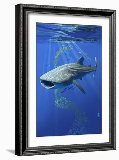 Whale Shark-Lantern Press-Framed Art Print