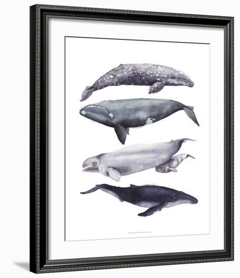 Whale Stack I-Grace Popp-Framed Art Print