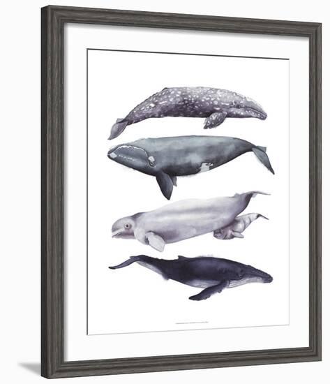 Whale Stack I-Grace Popp-Framed Art Print