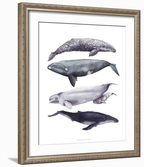 Whale Stack I-Grace Popp-Framed Art Print