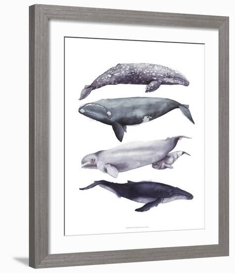 Whale Stack I-Grace Popp-Framed Art Print