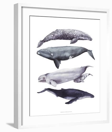 Whale Stack I-Grace Popp-Framed Art Print