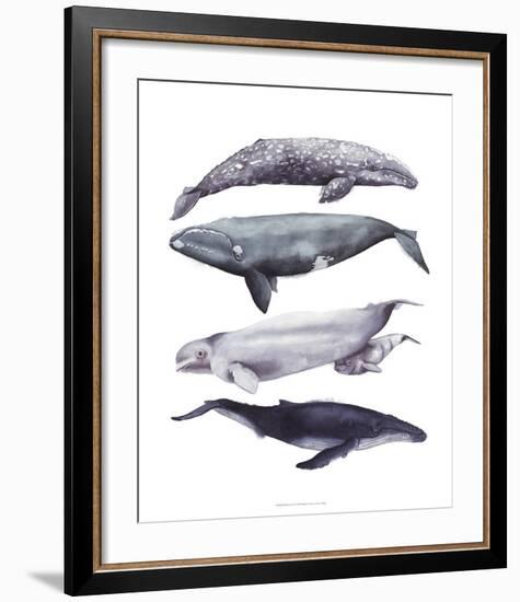 Whale Stack I-Grace Popp-Framed Art Print