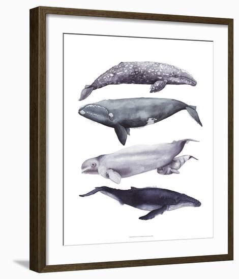 Whale Stack I-Grace Popp-Framed Art Print