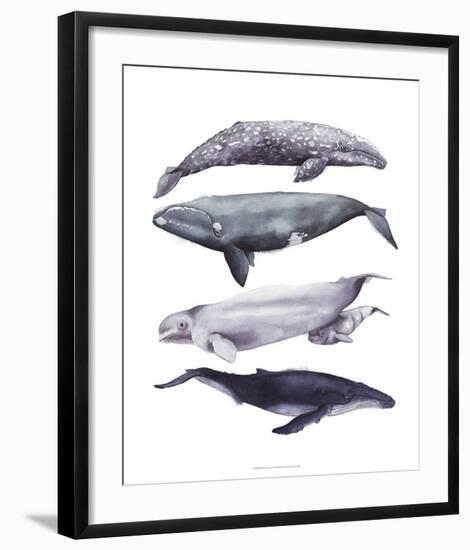 Whale Stack I-Grace Popp-Framed Art Print