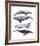 Whale Stack I-Grace Popp-Framed Art Print