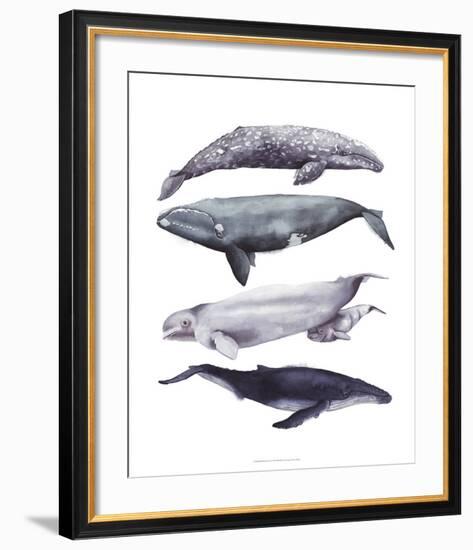 Whale Stack I-Grace Popp-Framed Art Print