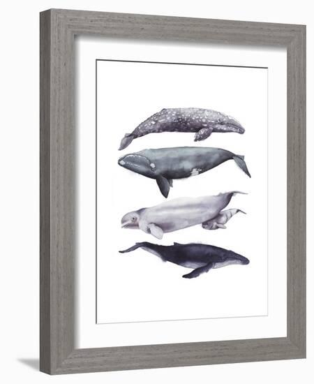 Whale Stack I-Grace Popp-Framed Art Print