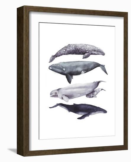 Whale Stack I-Grace Popp-Framed Art Print