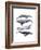 Whale Stack I-Grace Popp-Framed Art Print