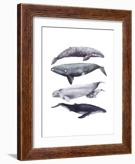 Whale Stack I-Grace Popp-Framed Art Print