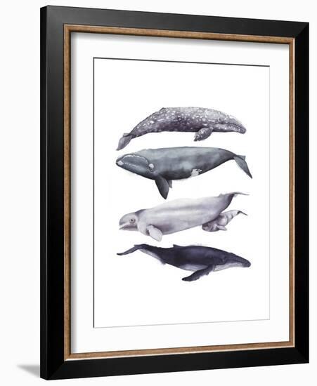 Whale Stack I-Grace Popp-Framed Art Print