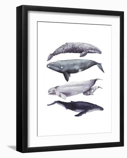 Whale Stack I-Grace Popp-Framed Art Print