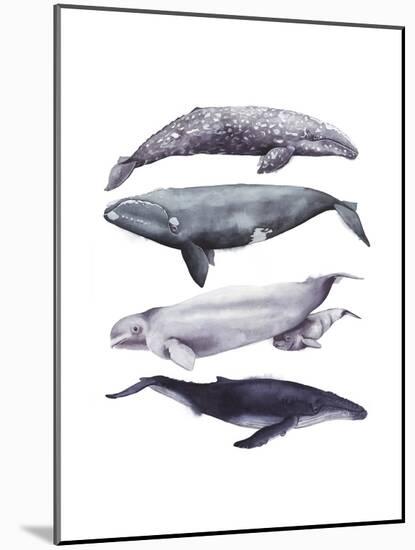 Whale Stack I-Grace Popp-Mounted Art Print