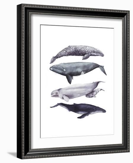 Whale Stack I-Grace Popp-Framed Art Print