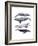 Whale Stack I-Grace Popp-Framed Art Print